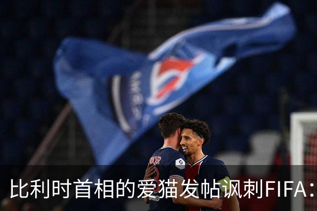比利时首相的爱猫发帖讽刺FIFA：“红牌？”我照样继续踢！